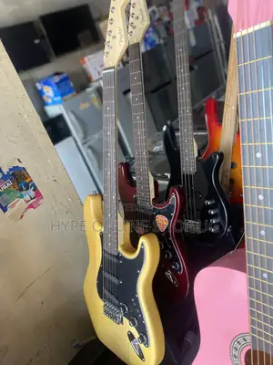 Acoustic Electric Guiters