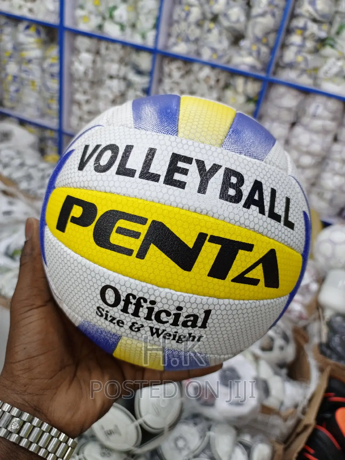 Volleyball  Leather