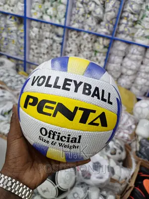Volleyball  Leather