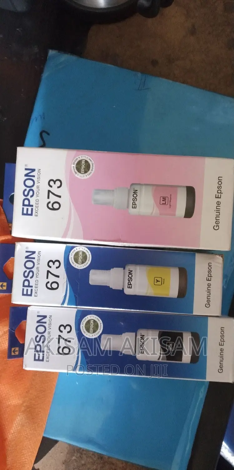 Epson Ink 673