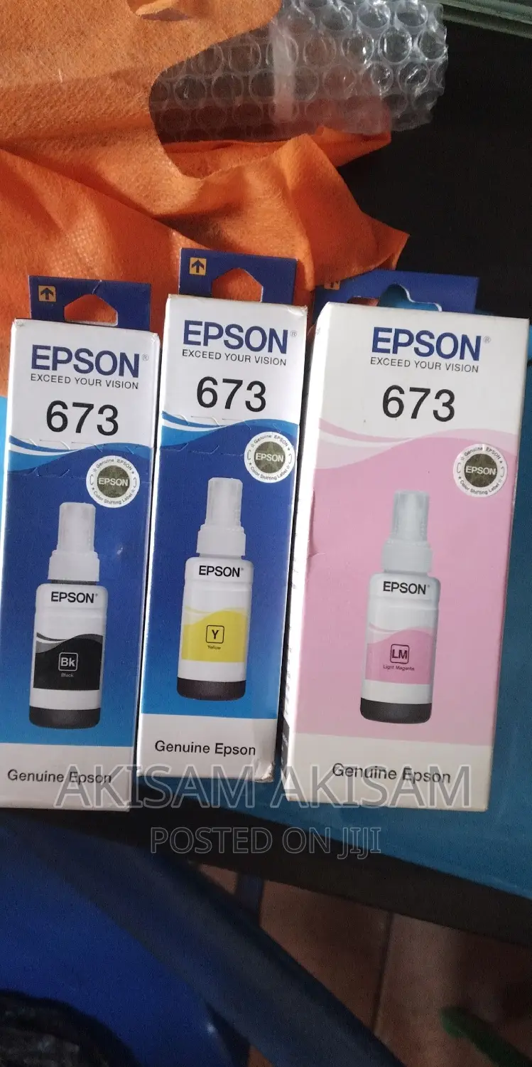 Epson Ink 673