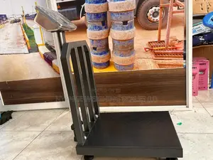 Photo - Weighing Scales 350kg -250kg