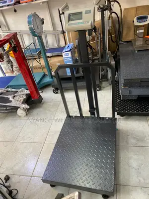 Platform Weighing Scale 700kg Weigh Accurate Weighing Machine