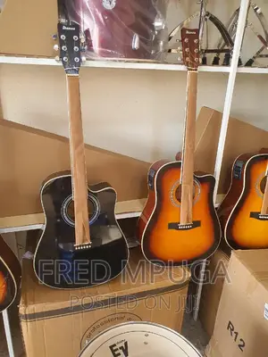 Ibanez Acoustic Guitar