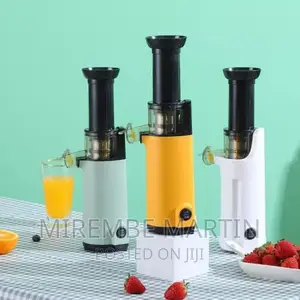 Electric Slow Juicer Fruit Blending Machine