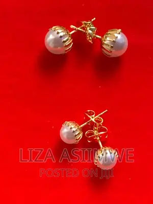 Simple Lady’S Earpins
