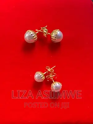 Simple Lady’S Earpins