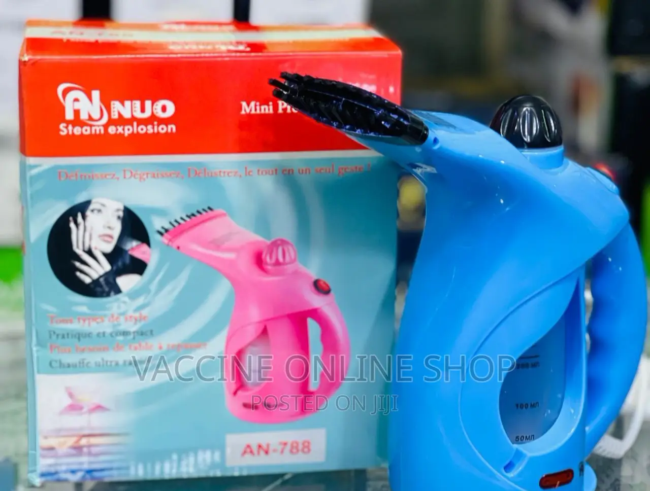 Hand Garment Steamer/Hand Garment Steamer (08)