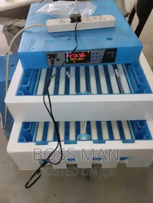 Egg Incubators in Kampala, Uganda