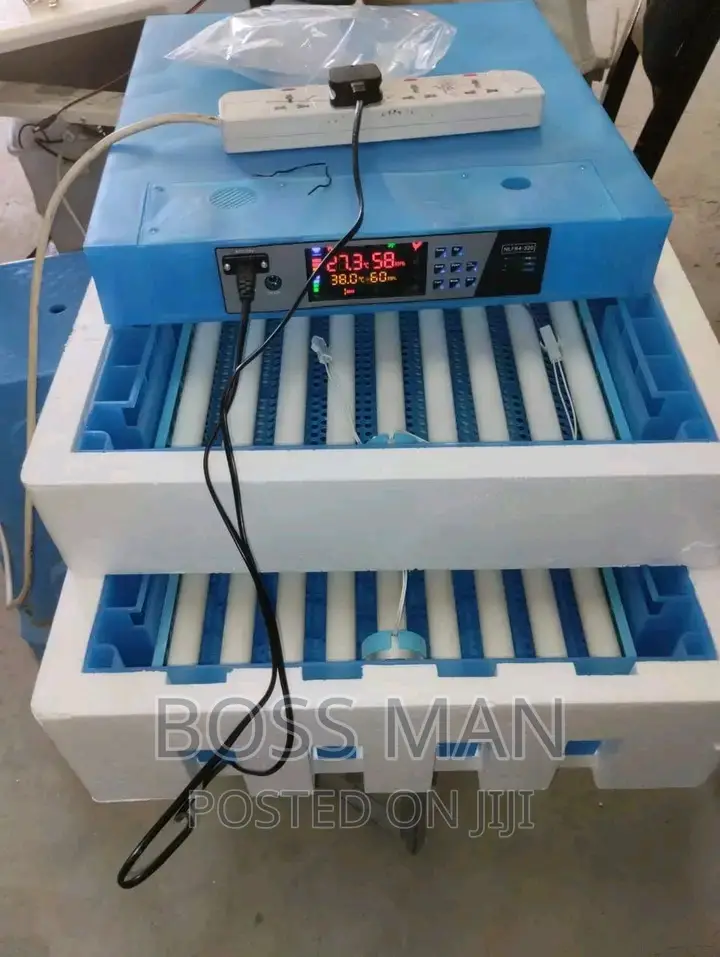 Egg Incubators in Kampala, Uganda