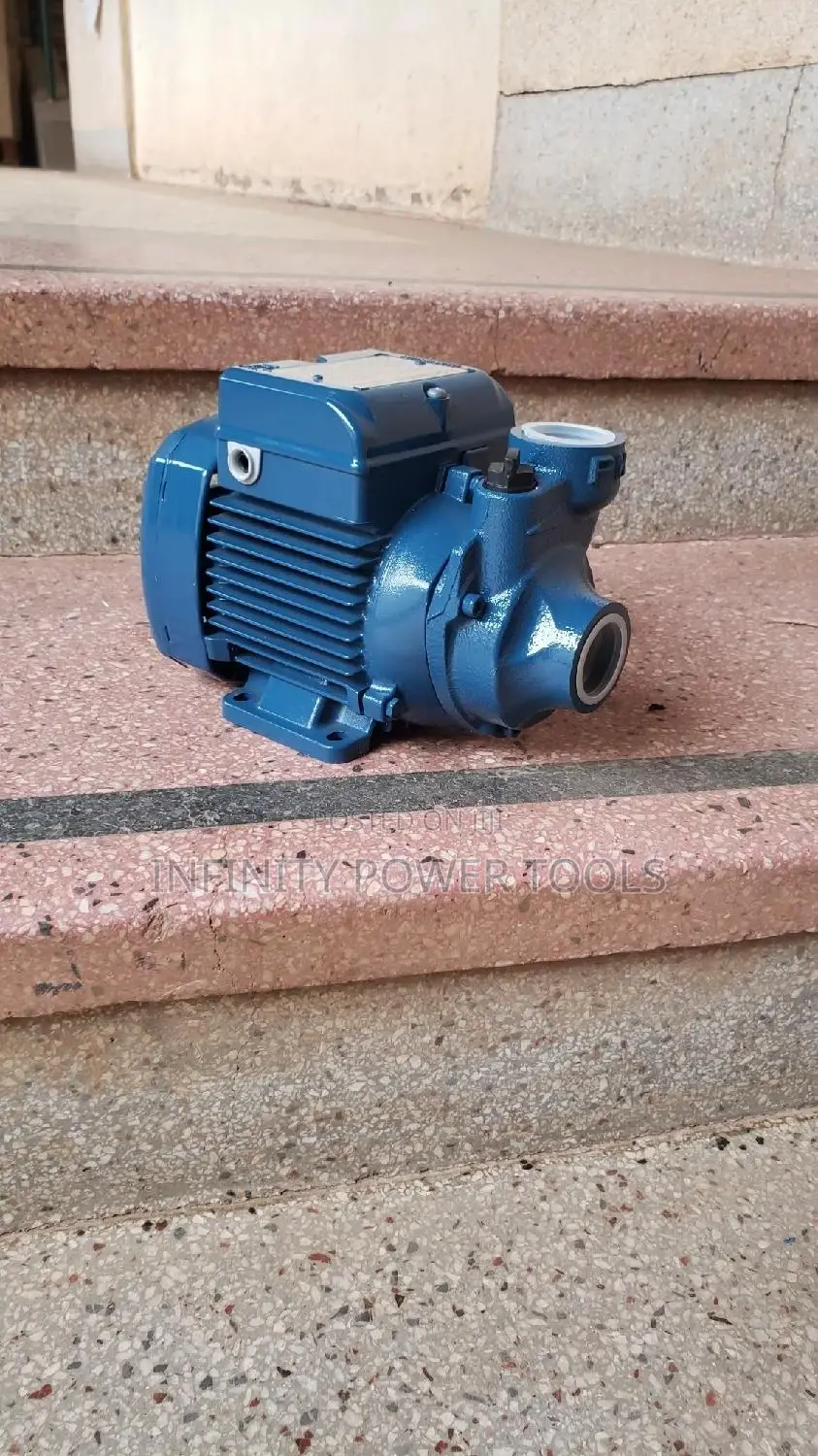 Surface Pump Pedrollo