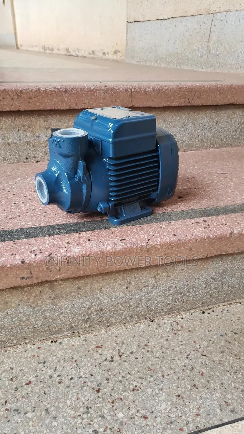 Surface Pump Pedrollo