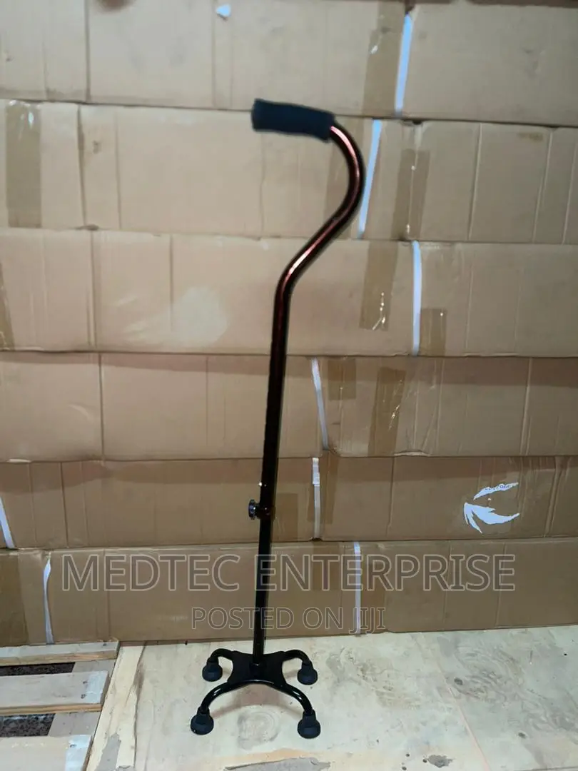 Walking Stick, Orthopedic in Central Division Medical Supplies