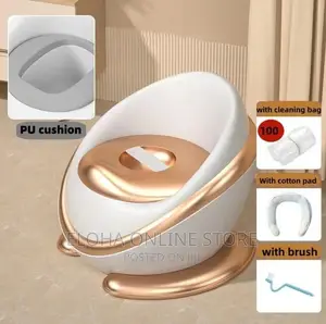 Kids Potty and Training Chair