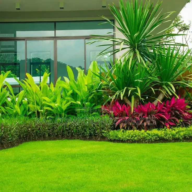Modern Design Compound