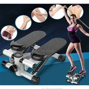 Portable Mini Fitness Twist Stepper