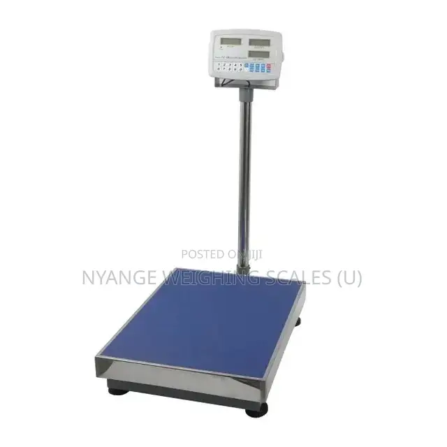 Weighing Scales Machine Platform Weighing Scale 400kg [20]