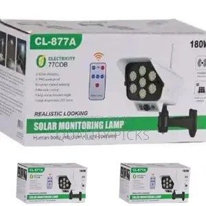Solar Monitoring Street Lamp