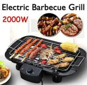 Smokeless Electric Barbecue Grill