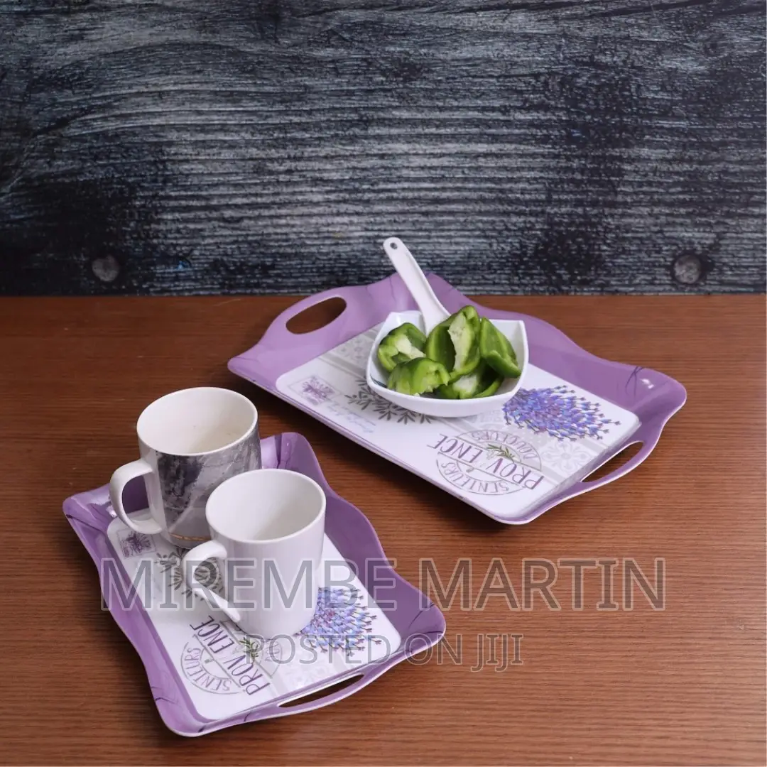 Delcasa DC1647 2pcs Melamine Tray Set