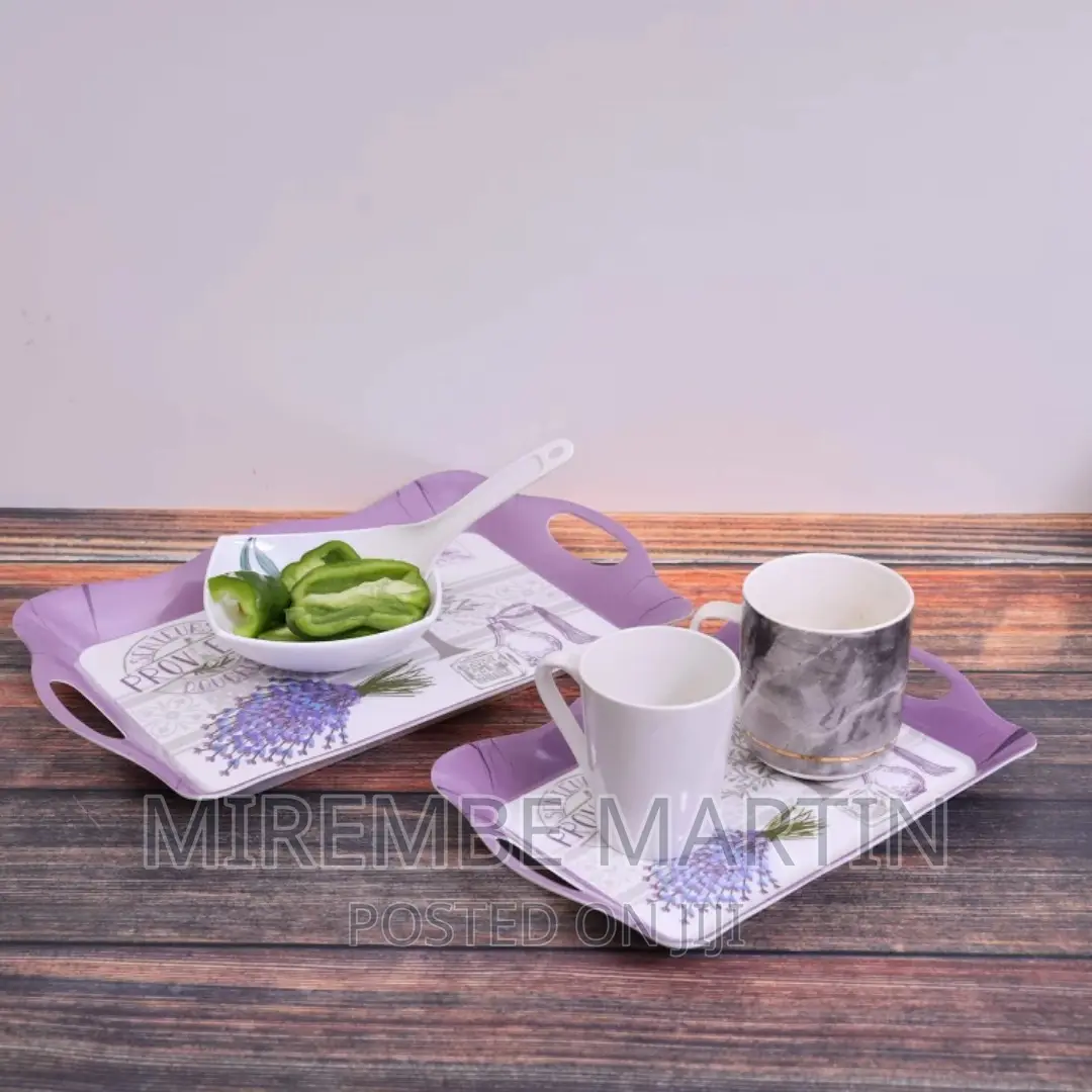 Delcasa DC1647 2pcs Melamine Tray Set