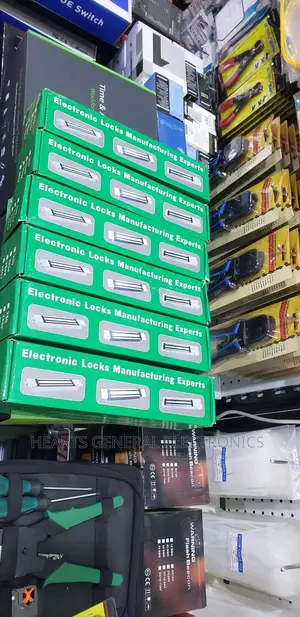 Electronic Locks / Magnetic Lock