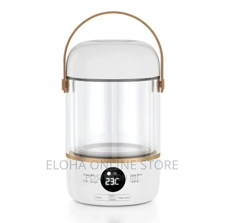 New 900ml Multifunctional Electric Kettle
