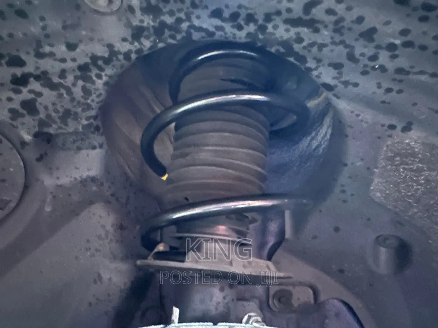 Mini Cooper Coil Spring. Front