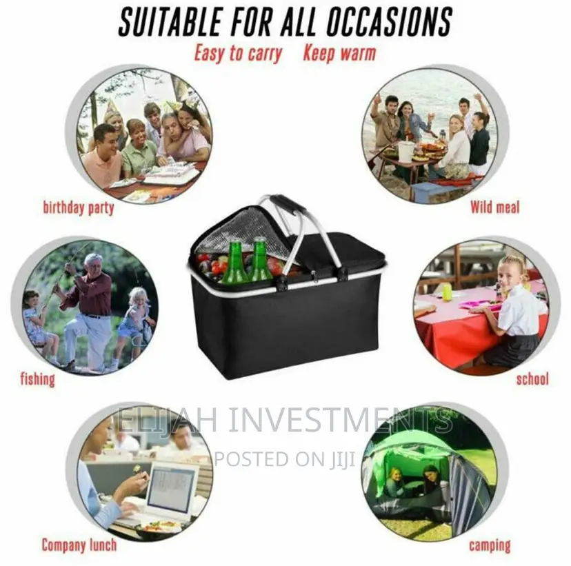 Foldable Insulated Picnic Bag