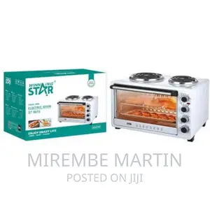 Winningstar 45L Electric Convection Oven