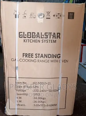 Global Star Gas Cooker 2+2