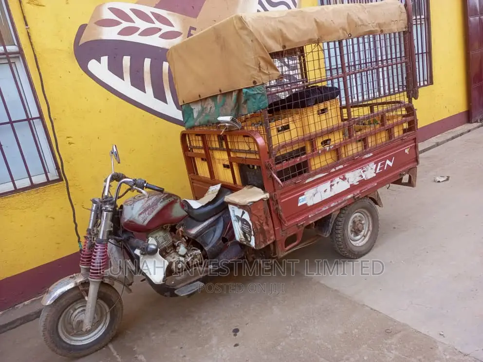 Tricycle 2016 Silver