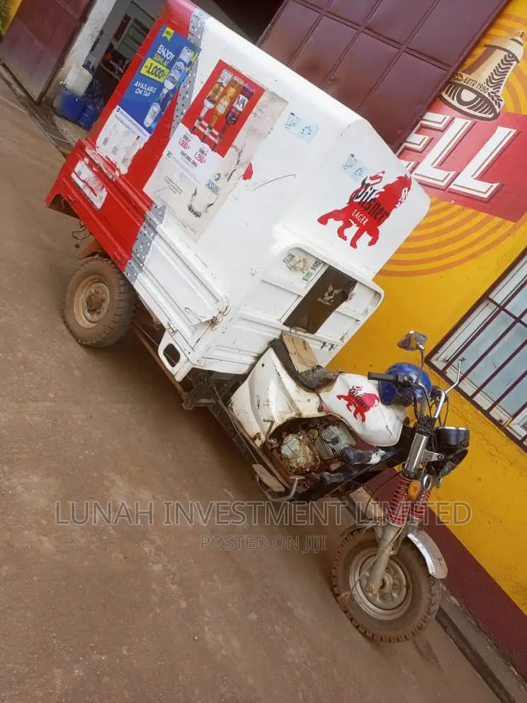 Tricycle 2016 Silver