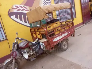 Tricycle 2016 Silver