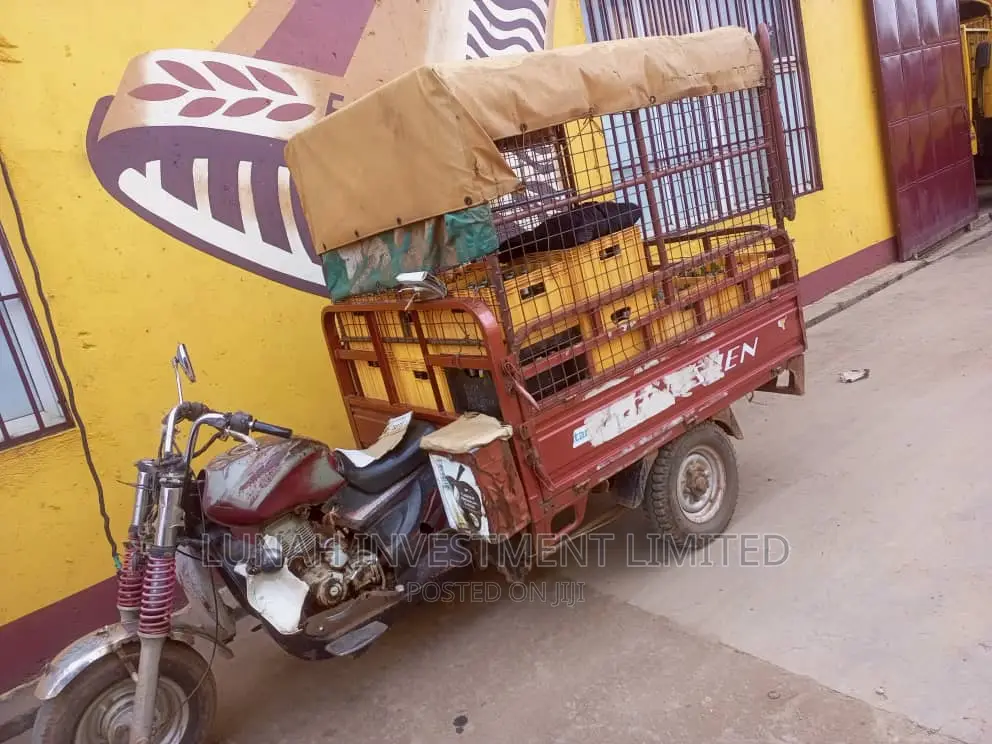 Tricycle 2016 Silver