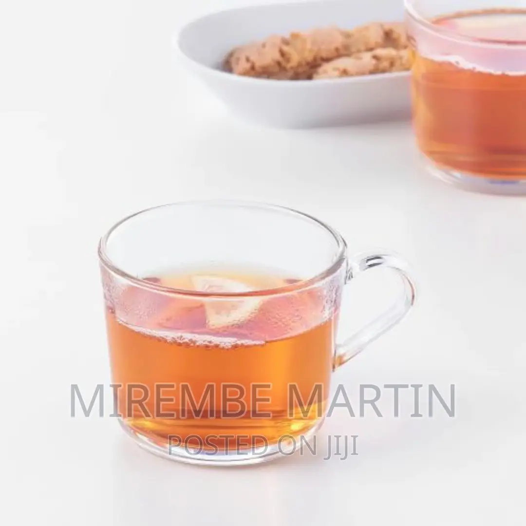 6 PCS of Plain Coffee Tea Glass Cups Mugs