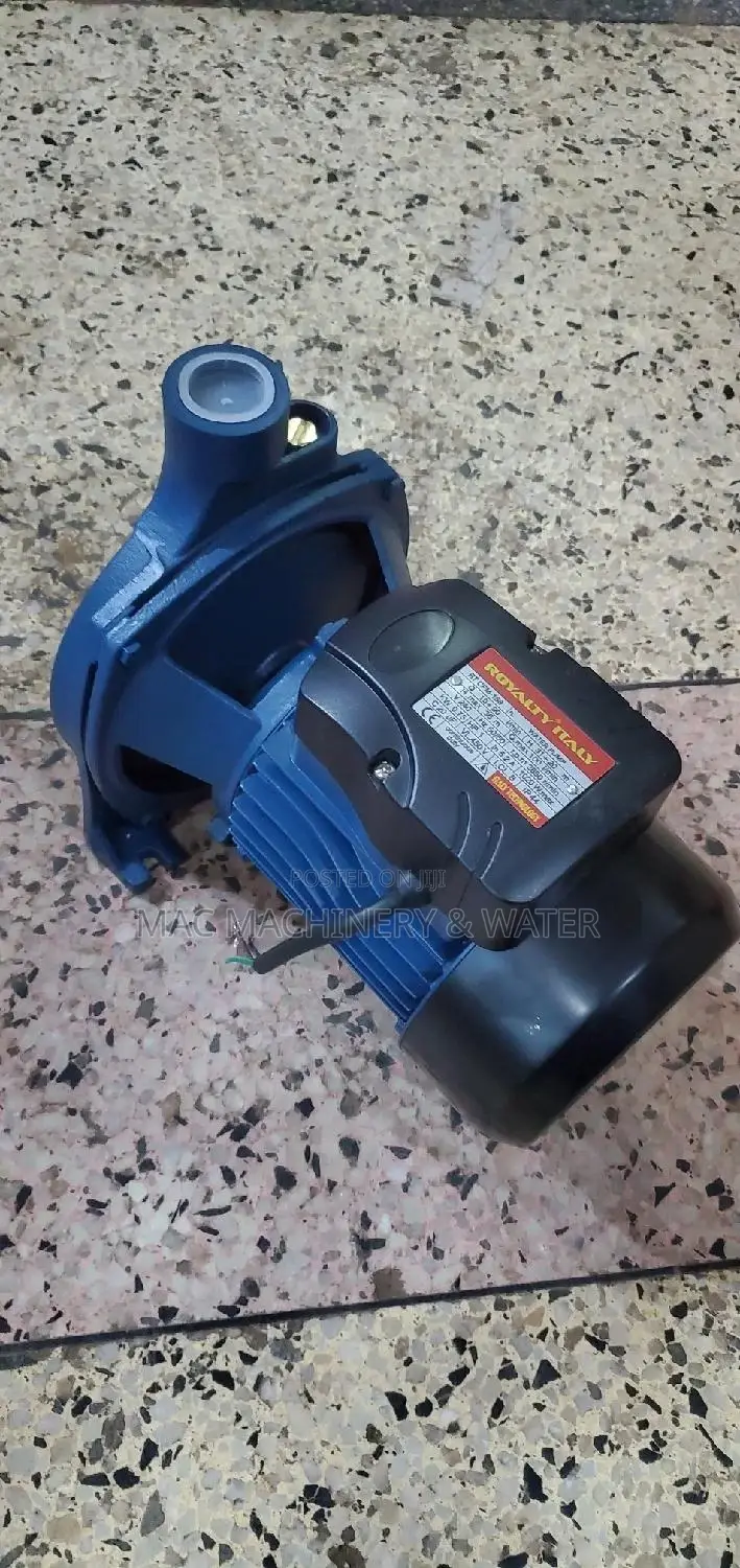 Surface Water Pump/ Booster Pump CPM - 158 Royalty 