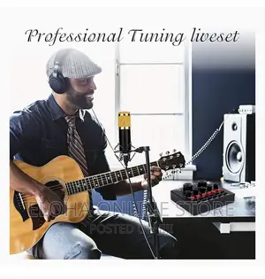 Professional Microphone Condenser
