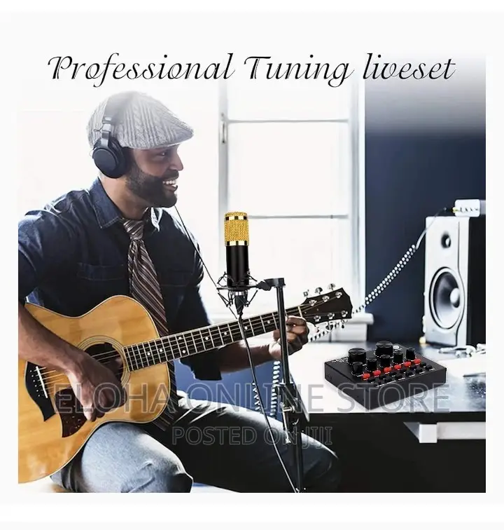 Professional Microphone Condenser