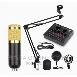 Professional Microphone Condenser