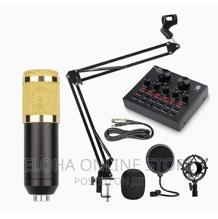 Professional Microphone Condenser