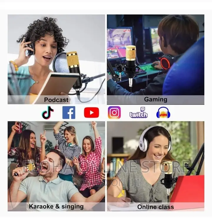 Professional Microphone Condenser