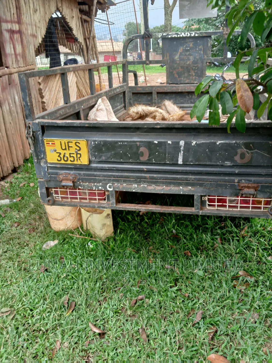 Tricycle 2023 Green