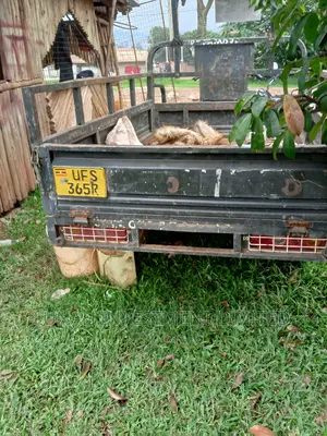 Tricycle 2023 Green