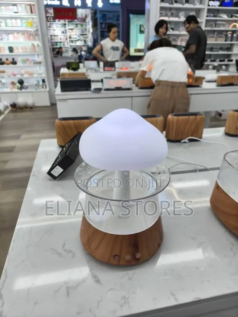Rain Drop Humidifier/ Aroma Diffuser.