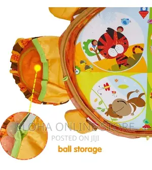 3 in 1 Baby Play Gym With 4 Hanging Toys and Balls