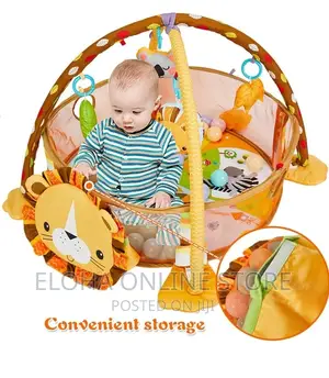 3 in 1 Baby Play Gym With 4 Hanging Toys and Balls
