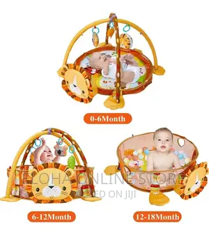 3 in 1 Baby Play Gym With 4 Hanging Toys and Balls
