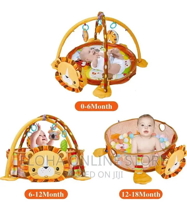 3 in 1 Baby Play Gym With 4 Hanging Toys and Balls