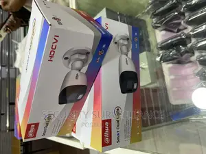 Smart Dual Alarm Light Bullet CCTV Cameras